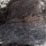 野生威灵仙，滚筒机器洗货，无杂根都是精心挑选的。质量求精