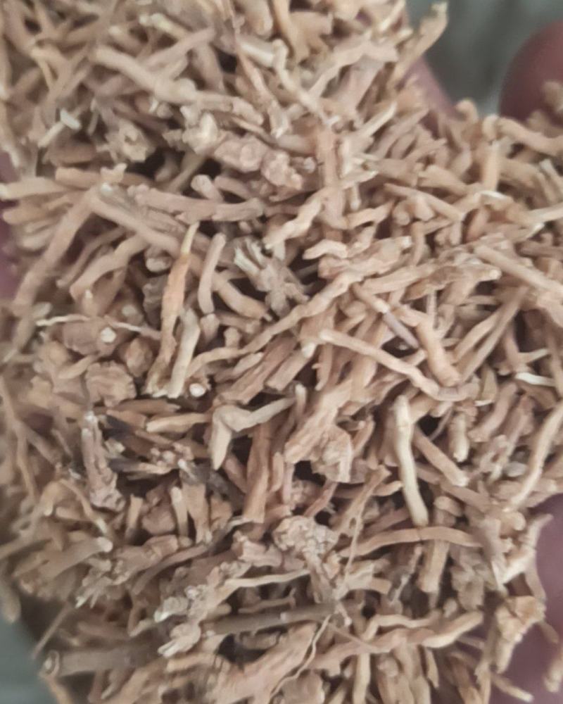 远志远志肉各种规格中药材批发远志产地直销