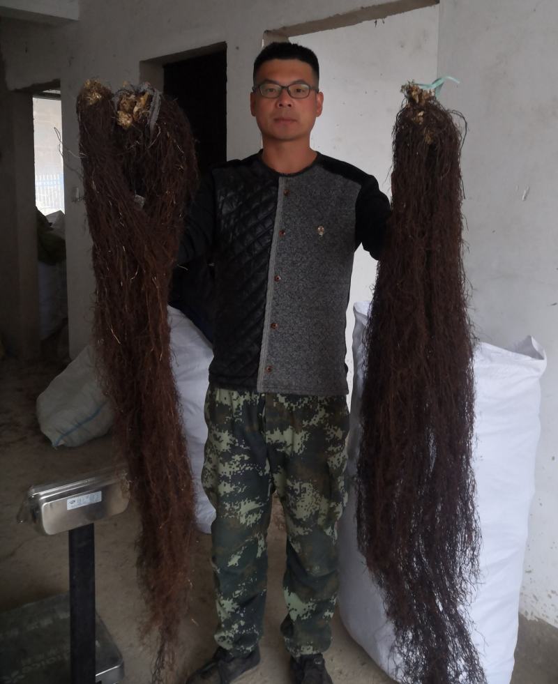 野生威灵仙，滚筒机器洗货，无杂根都是精心挑选的。质量求精