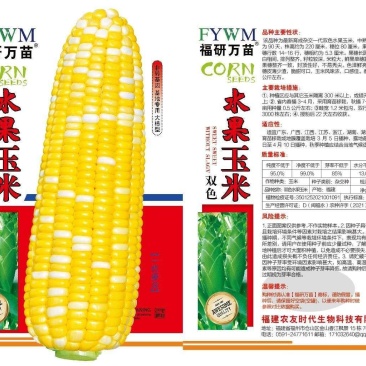 水果玉米种子，
