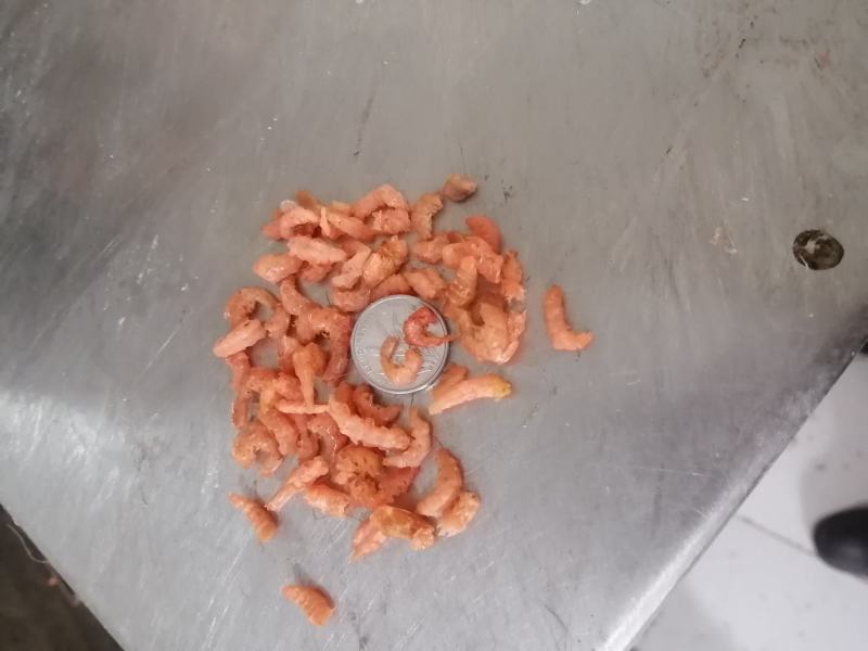 沾化区厂家直销虾仁，价格美丽，一手货源，品质保证。