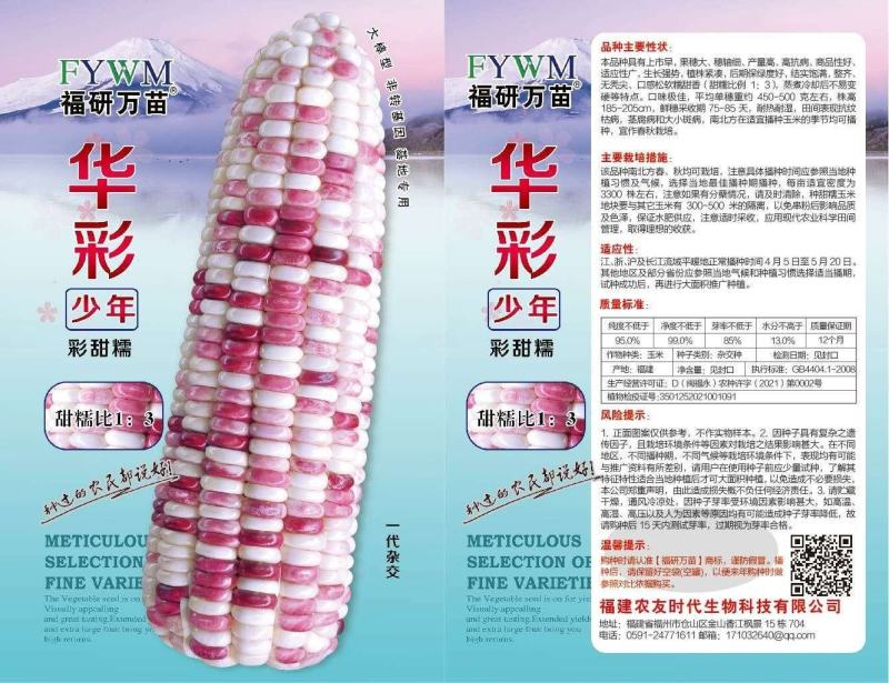 彩甜糯玉米种子，非转基因，基地专用，大