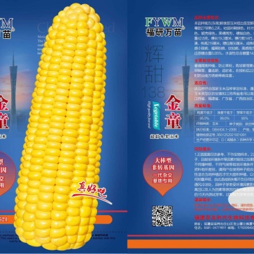 金童水果玉米种子，非转基因，基地专用，大棒型，