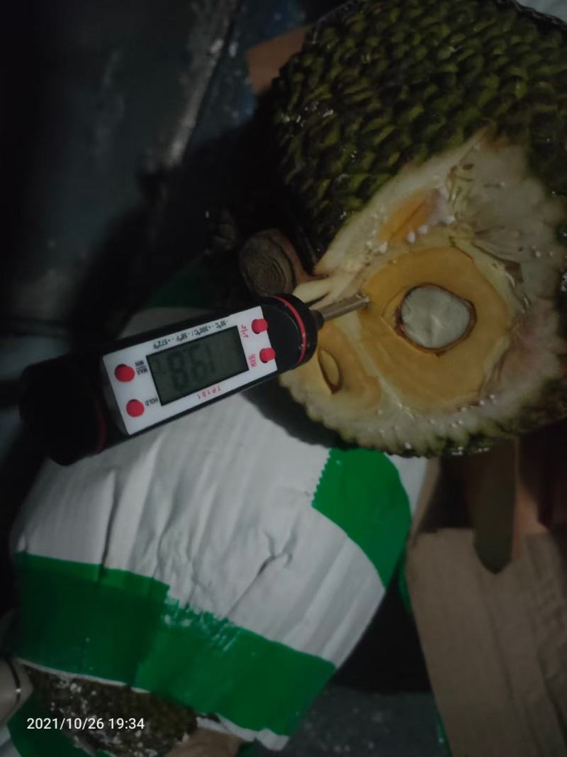 越南红肉菠萝蜜果地直销，这两天有货出，需要请联系