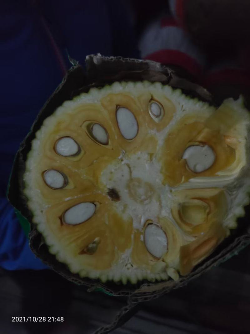 越南红肉菠萝蜜果地直销，这两天有货出，需要请联系