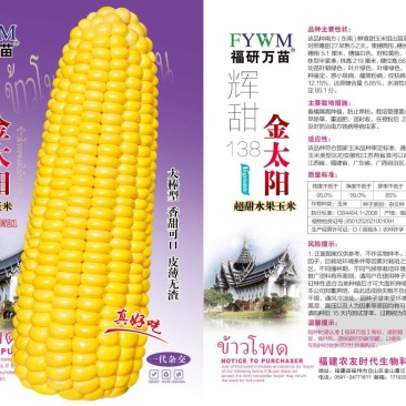 水果玉米种子，皮薄无渣，非转基因，基地专用，大棒型，
