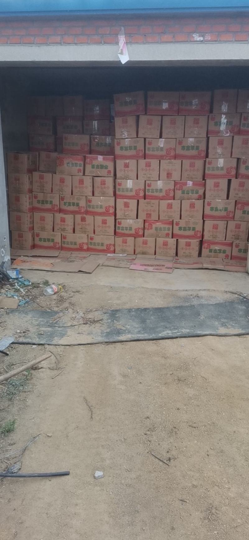 寒富苹果自家果园口感大小均匀价格便宜
