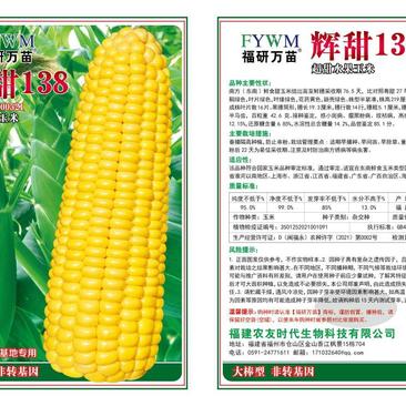 水果玉米种子，非转基因，基地专用，大棒型，