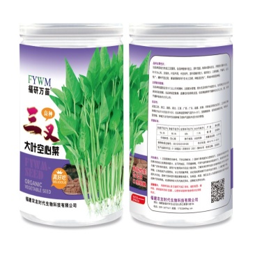 三叉大空心菜种子，