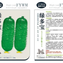 绿多宝高端水果黄瓜种子，耐热，耐寒