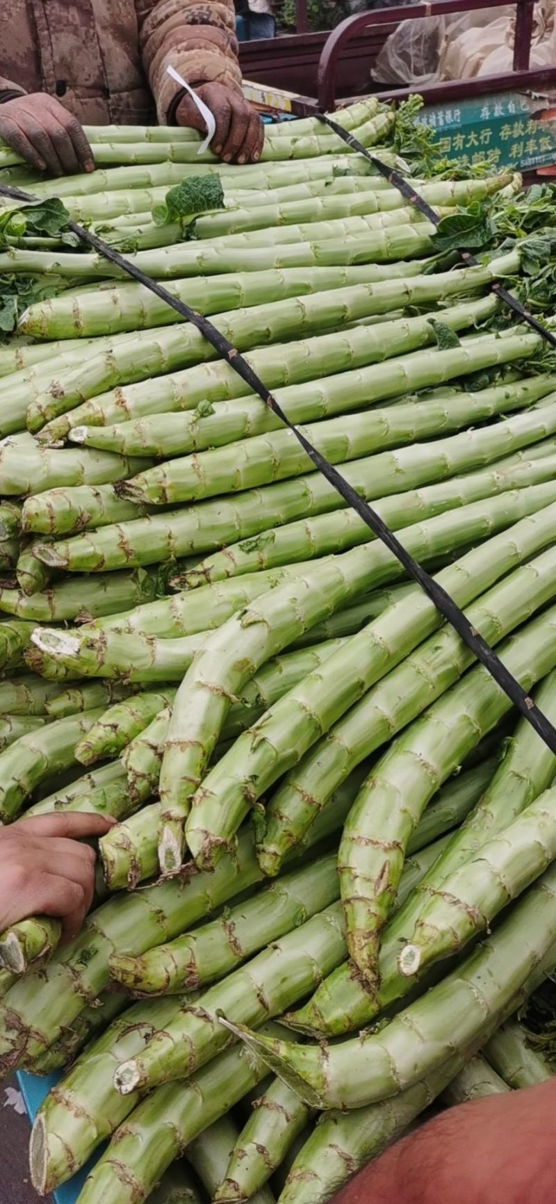 莴笋大量上市一次交易终身朋友支持视频看货量大从优