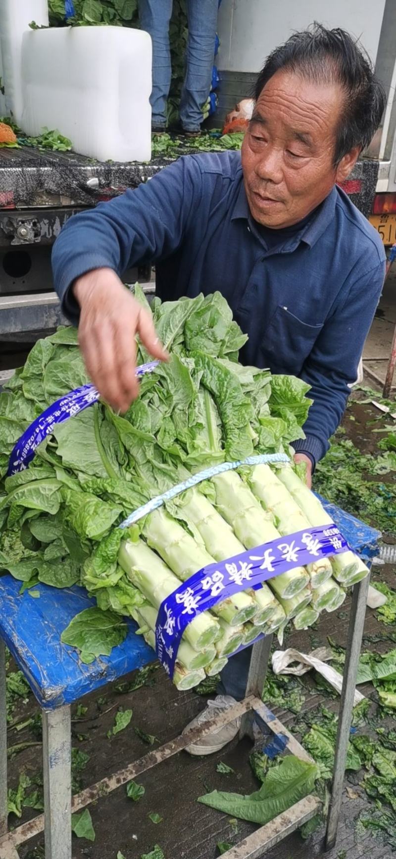 莴笋大量上市一次交易终身朋友支持视频看货量大从优