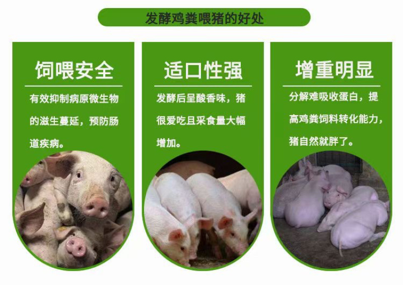 生物发酵豆渣饲料公司