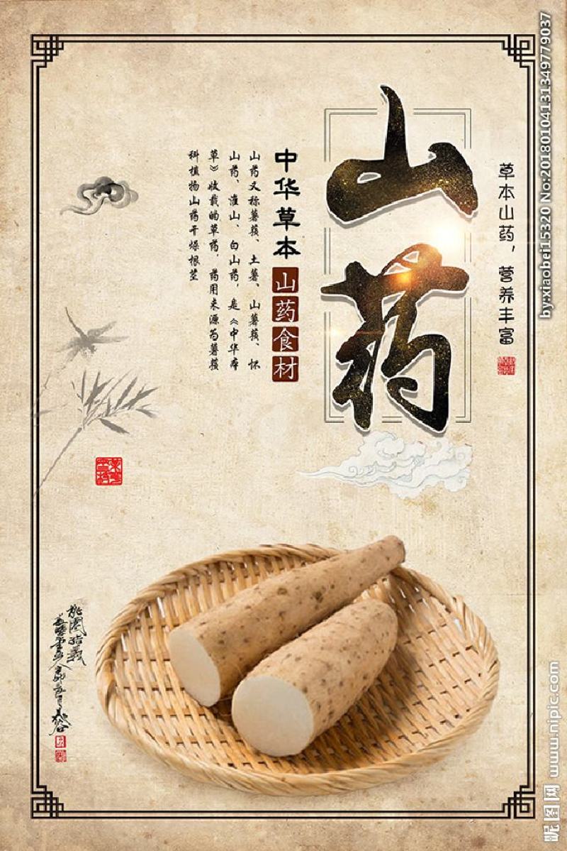 山西黄河滩山药，可切片加工可视频看货对接全国各大市场电商