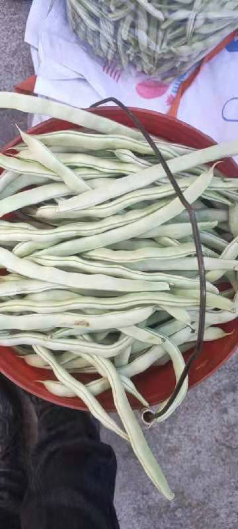 产地直发，超市专供，全国发货，物美价廉，精品白豆