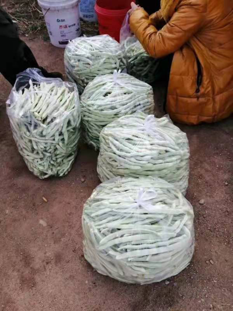 产地直发，超市专供，全国发货，物美价廉，精品白豆