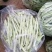 产地直发，超市专供，全国发货，物美价廉，精品白豆