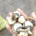 【实力】慈姑万亩茨菇特惠大量供应国内外出囗一条龙流水线