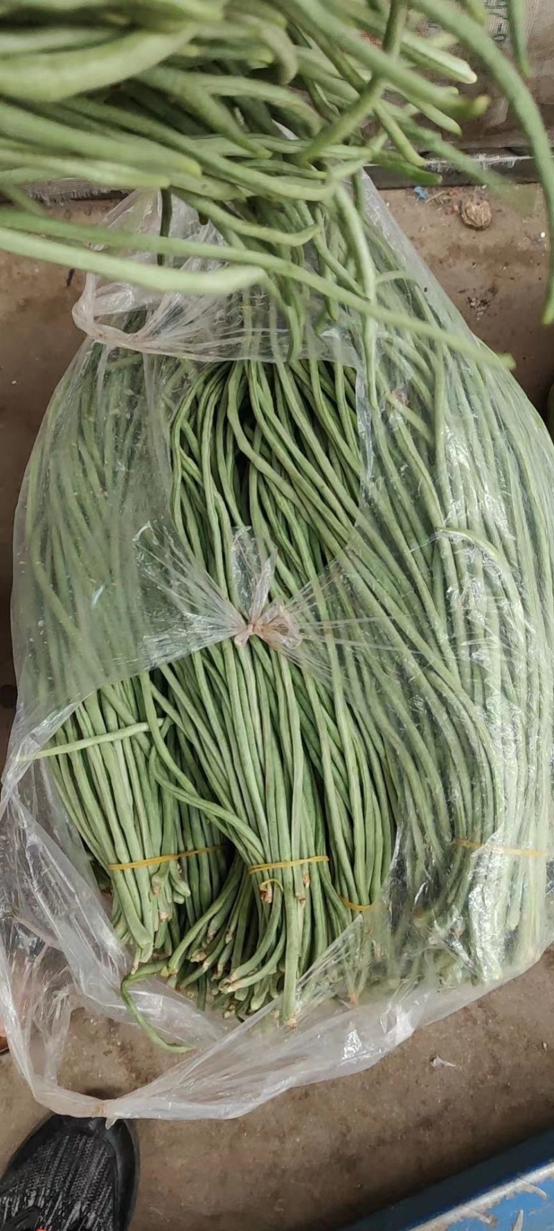 产地直发，超市专供，全国发货，物美价廉，精品长豇豆