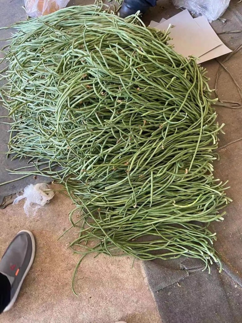 产地直发，超市专供，全国发货，物美价廉，精品长豇豆