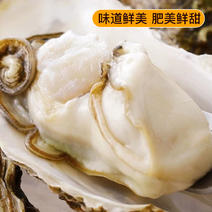 【顺丰包邮】乳山生蚝鲜活新鲜海蛎子特大海鲜牡蛎贝壳即食水