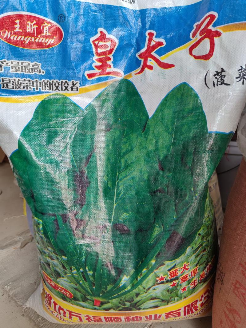 大圆叶菠菜种子