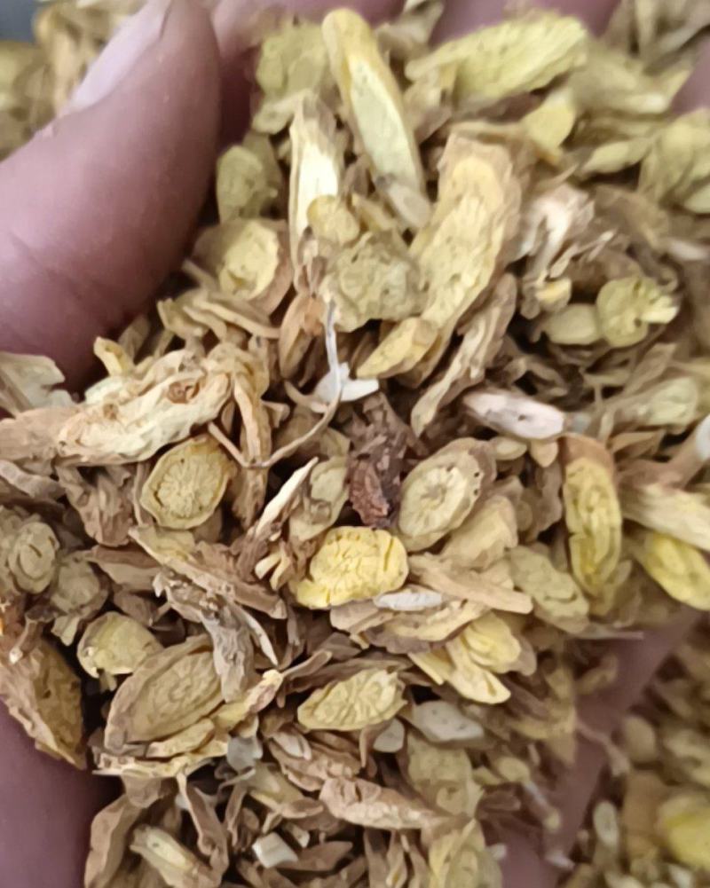 黄芩甘肃黄芩全干货康辰药业批发各种中药材