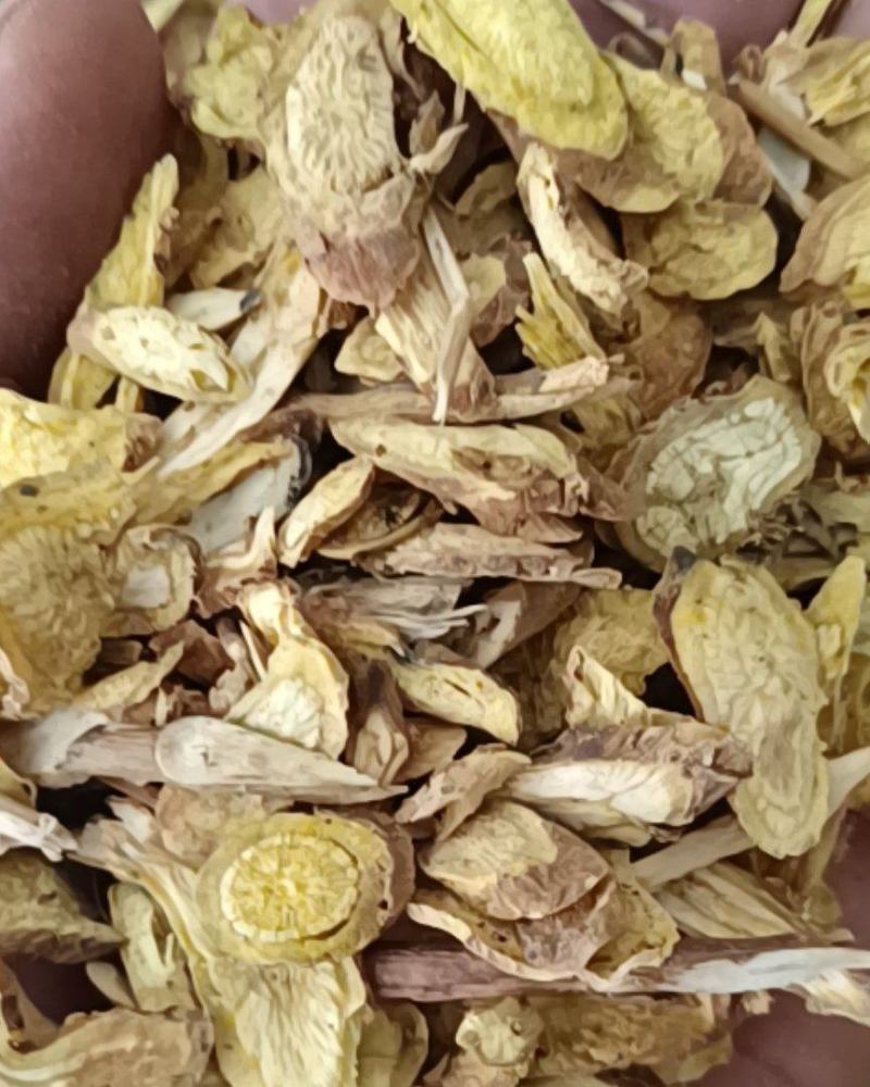 黄芩甘肃黄芩全干货康辰药业批发各种中药材