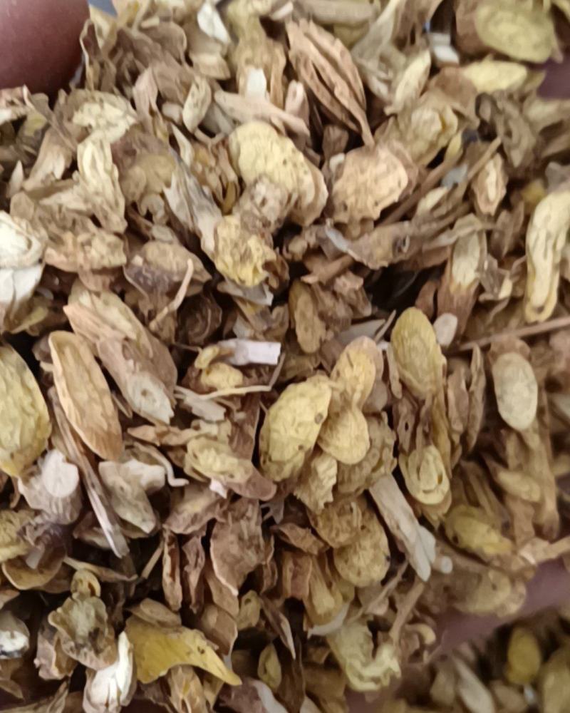 黄芩甘肃黄芩全干货康辰药业批发各种中药材