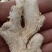 干姜干姜片产地广西小黄姜康辰药业批发各种中药材量大从优