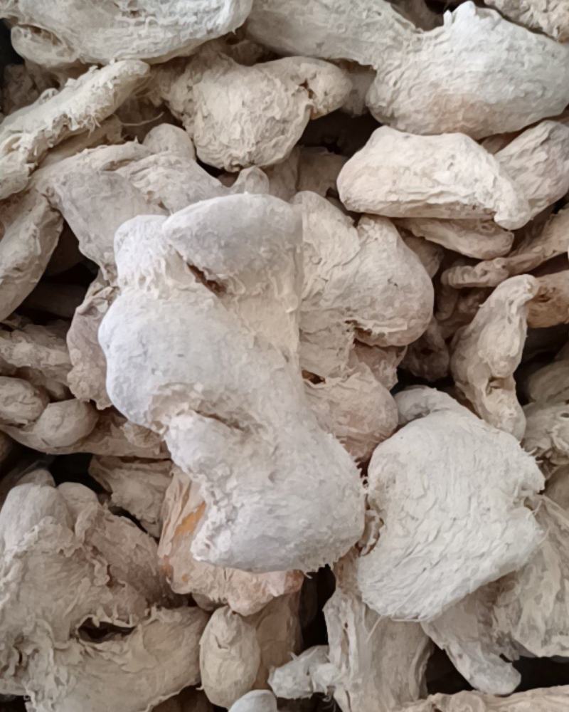 干姜干姜片产地广西小黄姜康辰药业批发各种中药材量大从优