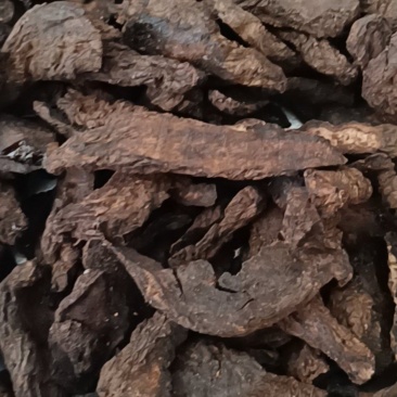 生地黄片生地产地河南康辰药业批发各种中药材