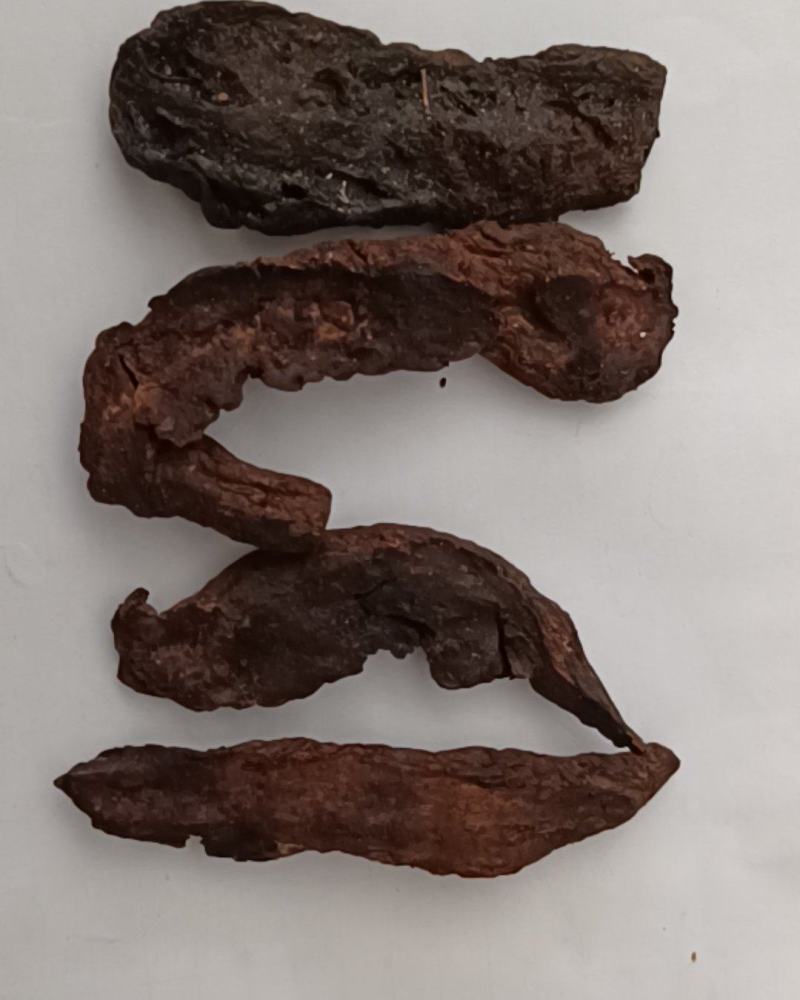 生地黄片生地产地河南康辰药业批发各种中药材