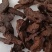 生地黄片生地产地河南康辰药业批发各种中药材