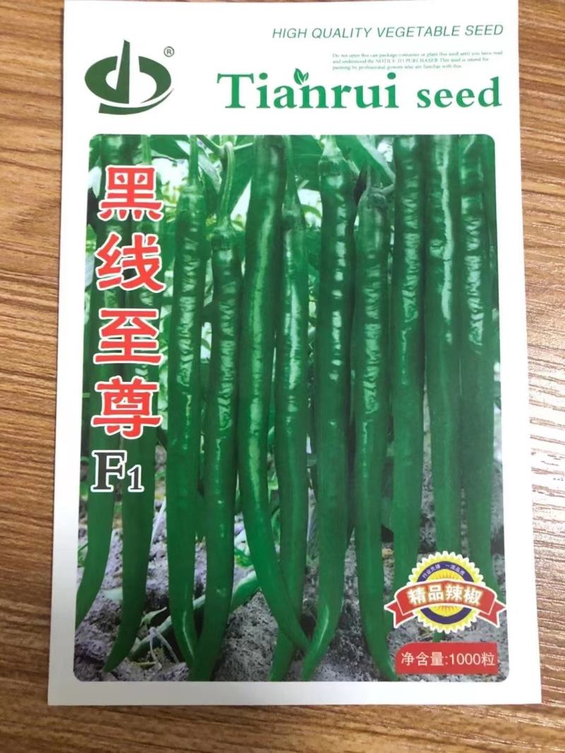 全国供应线辣椒苗露天黑线黄线苗红绿两收皮薄味辣