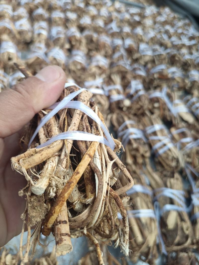 纯野生五指毛桃小扎把，加工厂一手货源，大量批发!