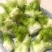 四川精品儿菜，对接电商，超市，加工厂，泡菜厂