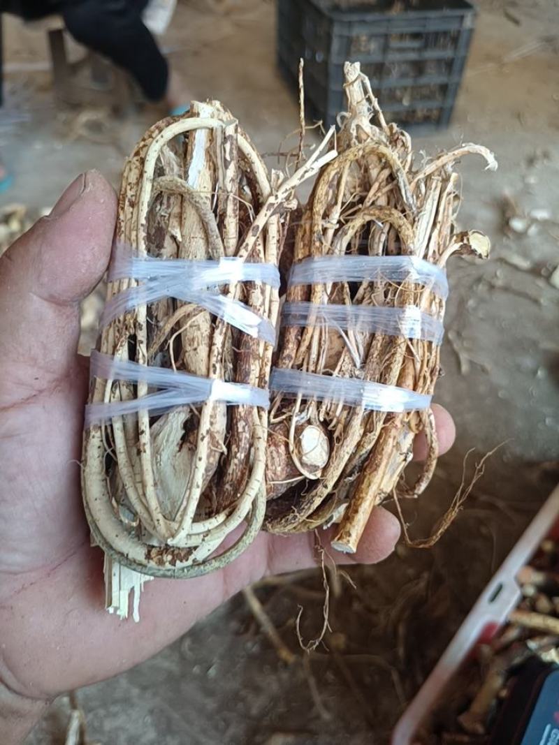 纯野生五指毛桃小扎把，加工厂一手货源，大量批发!