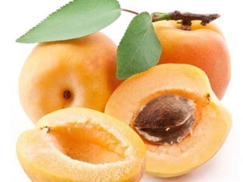 杏子苗，一手货源，品种纯正，规格齐全，从0.6到4公分