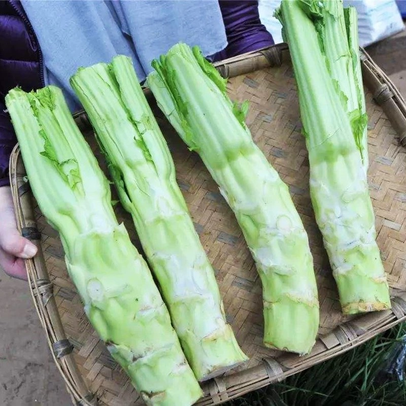 棒菜四川精品棒菜，新鲜供应，电商，平台，超市
