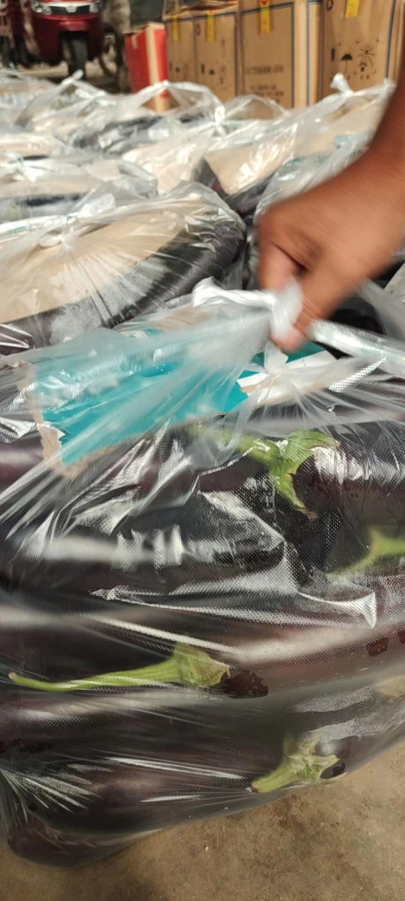 产地直发，超市专供，全国发货，物美价廉，精品紫茄子