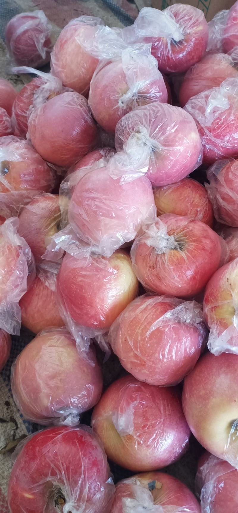 纸加膜红富士苹果