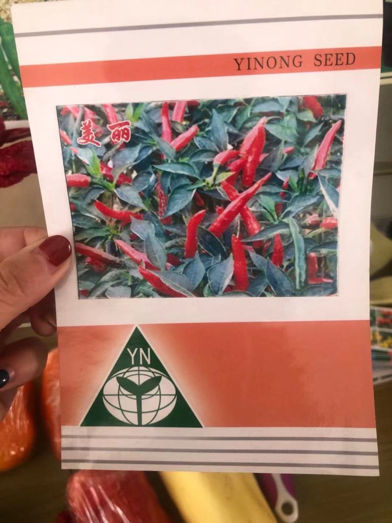 朝天椒苗艳红朝天椒单生簇生指天椒苗小米椒苗厂直发