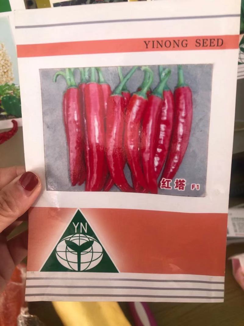 朝天椒苗艳红朝天椒单生簇生指天椒苗小米椒苗厂直发