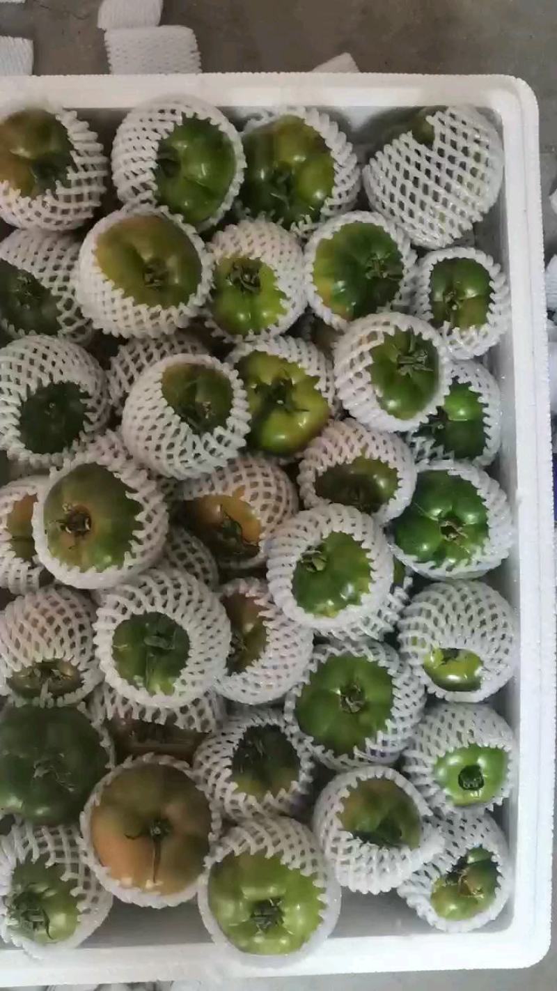 （热销）草莓西红柿产区直供货源充足量大从优视频看货批发