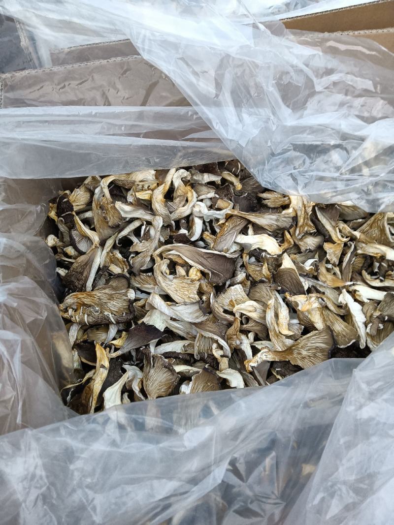 干平菇，食用菌，自然晾干，烘干，品种齐全