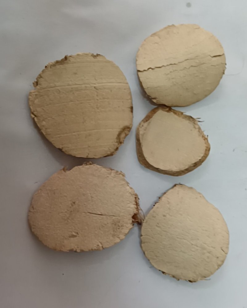 三棱三棱片批发各种中药材康辰药业量大从优