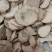 三棱三棱片批发各种中药材康辰药业量大从优
