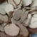 三棱三棱片批发各种中药材康辰药业量大从优