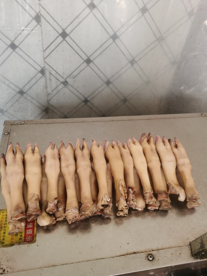 羊蹄